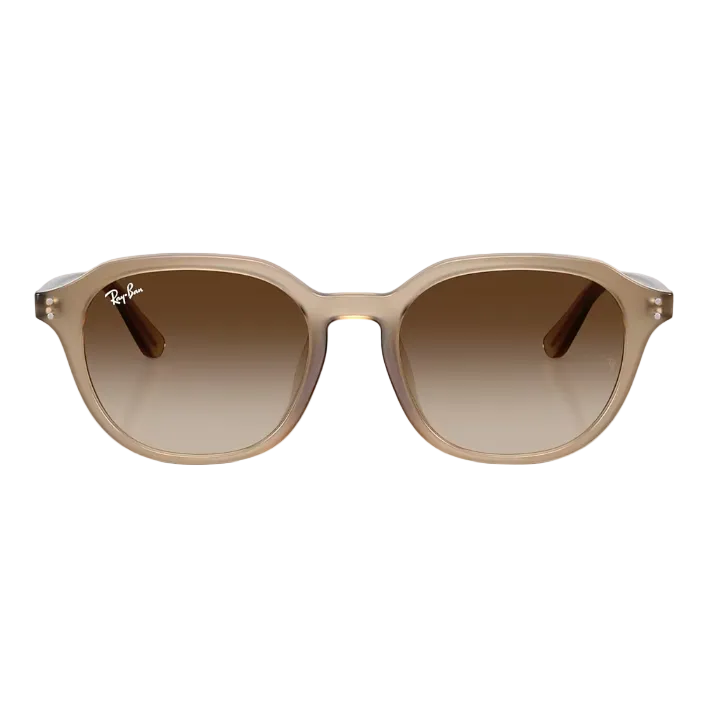 Ray Ban Women Square Frame Polished Turtledove Sunglasses
