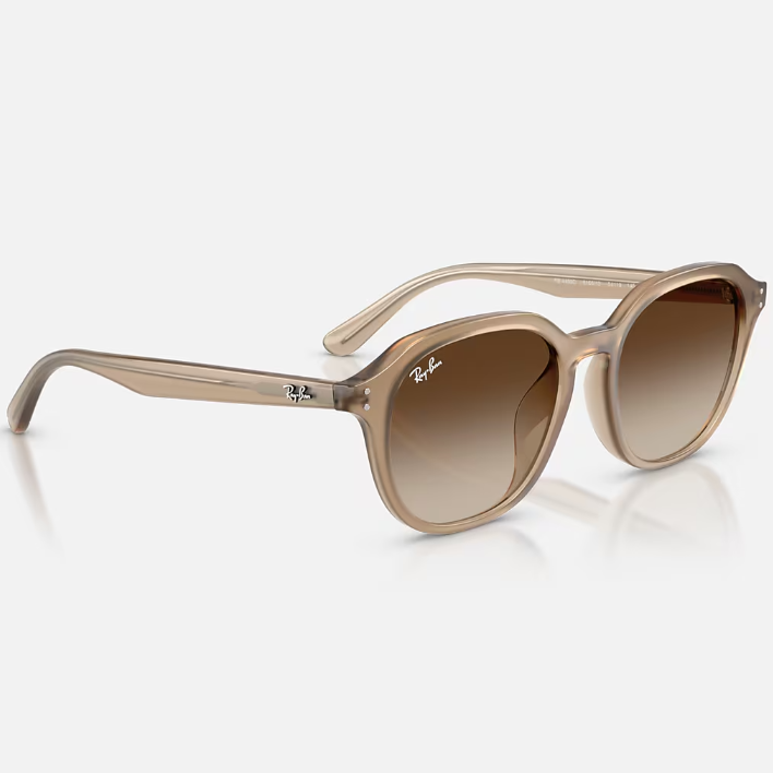 Ray Ban Women Square Frame Polished Turtledove Sunglasses