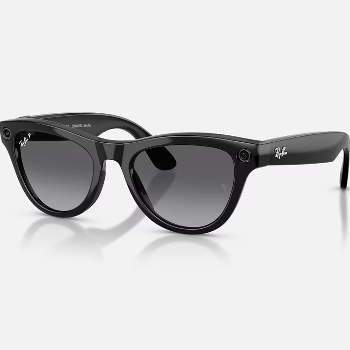 Ray Ban Men Cat Eye Frame Shiny Smoky Black Sunglasses