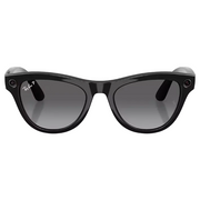 Ray Ban Men Cat Eye Frame Shiny Smoky Black Sunglasses