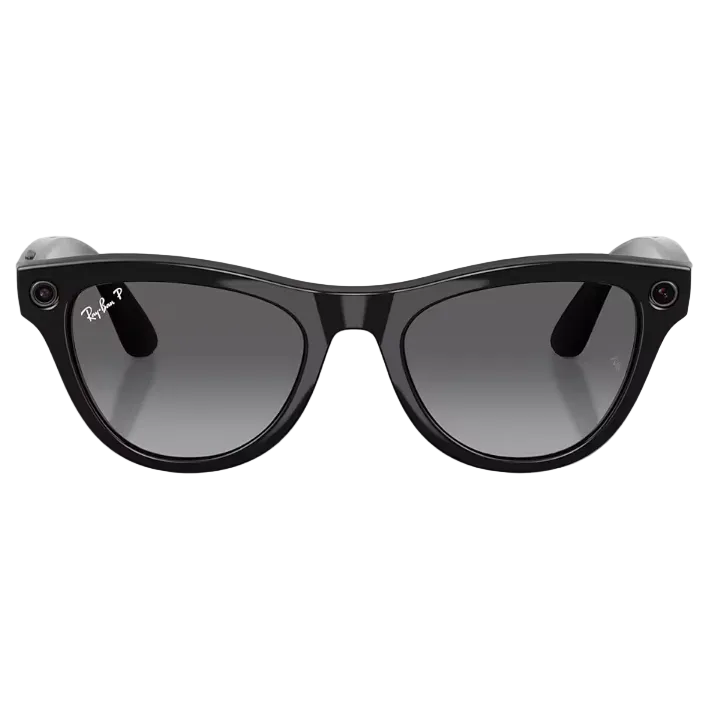 Ray Ban Men Cat Eye Frame Shiny Smoky Black Sunglasses