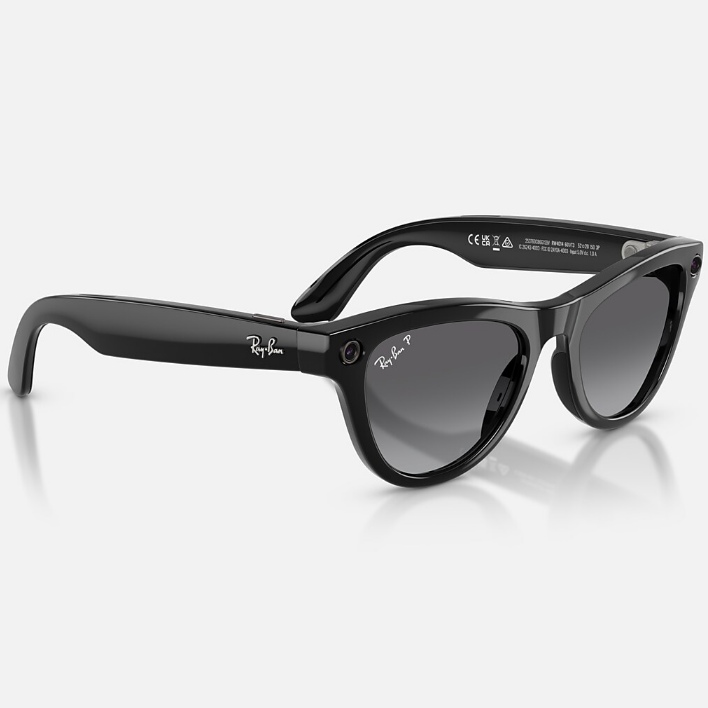 Ray Ban Men Cat Eye Frame Shiny Smoky Black Sunglasses