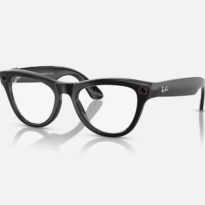 Ray Ban Men Cat Eye Frame Ink Black Sunglasses