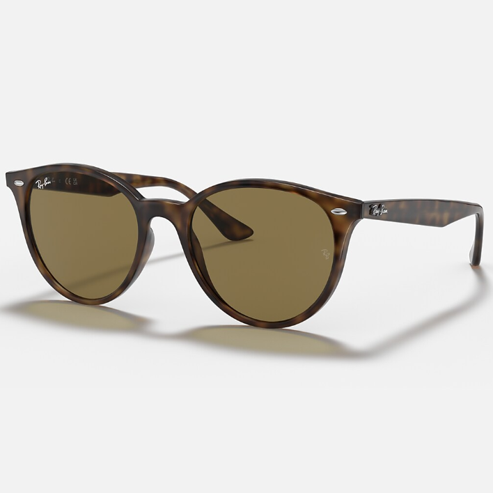 Ray Ban Men Phantos Frame Matte Brown Sunglasses