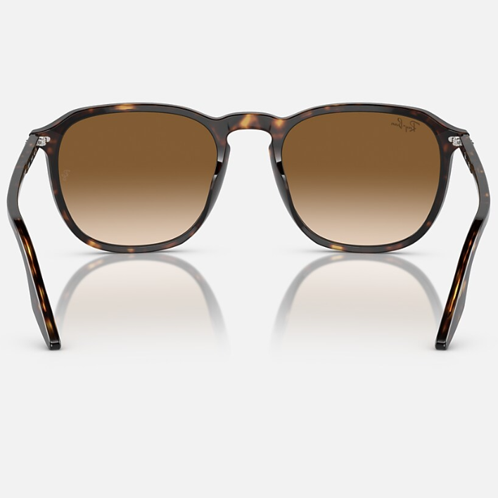 Ray Ban Men Square Frame Shiny Polished Dark Havana Sunglasse