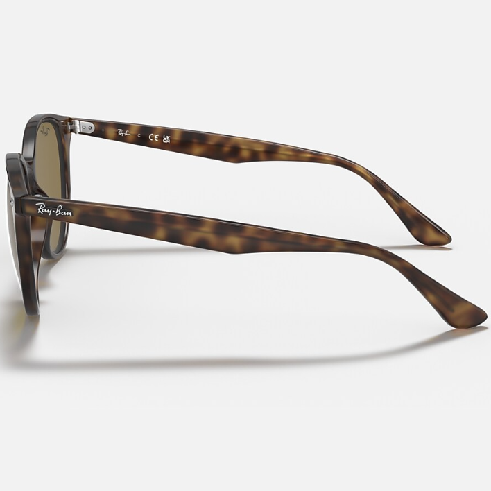 Ray Ban Men Phantos Frame Matte Brown Sunglasses