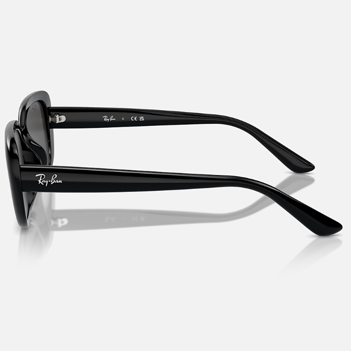 Ray Ban Men Pillow Frame Dusty Black Sunglasses