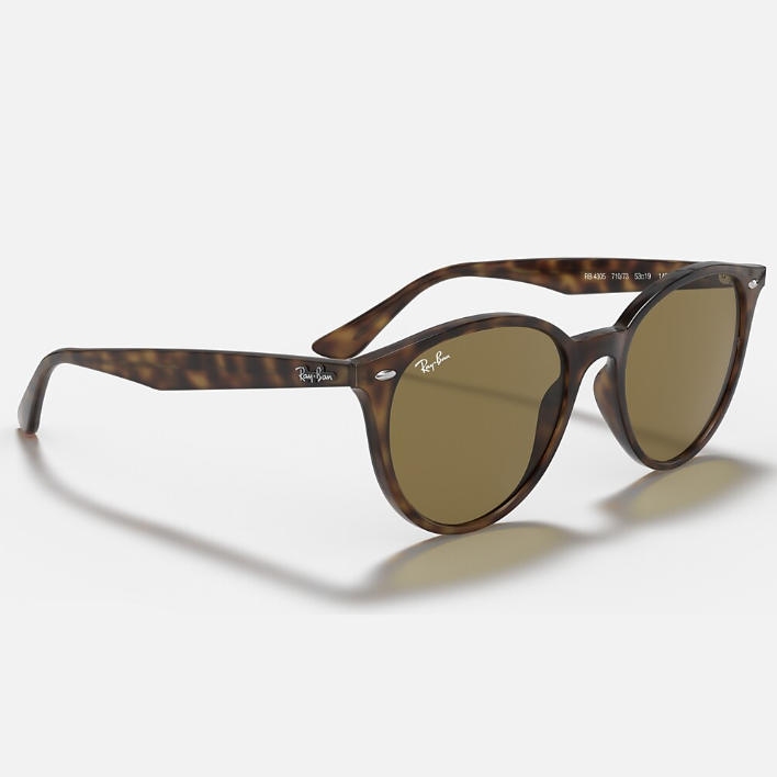 Ray Ban Men Phantos Frame Matte Brown Sunglasses