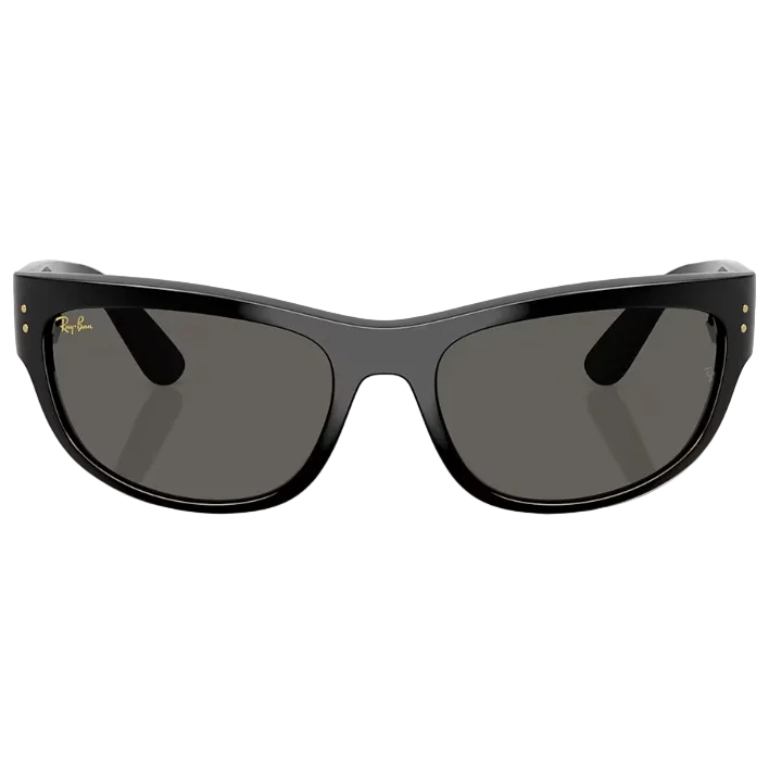 Ray Ban Men Pillow Frame Soft Black Sunglasse