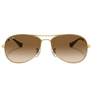 Ray Ban Men Pilot Frame Polished Brown On Gold Sunglasses