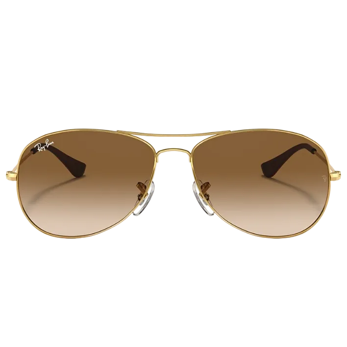 Ray Ban Men Pilot Frame Polished Brown On Gold Sunglasses