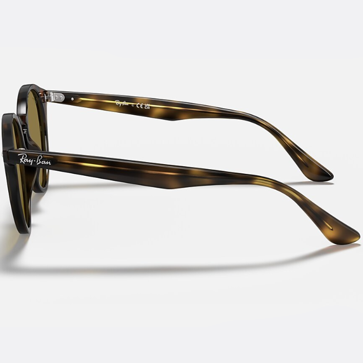 Ray Ban Men Round Frame Polished Light Havana Sunglasses