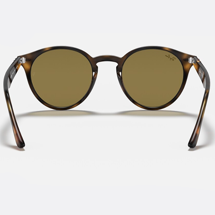 Ray Ban Men Round Frame Polished Light Havana Sunglasses