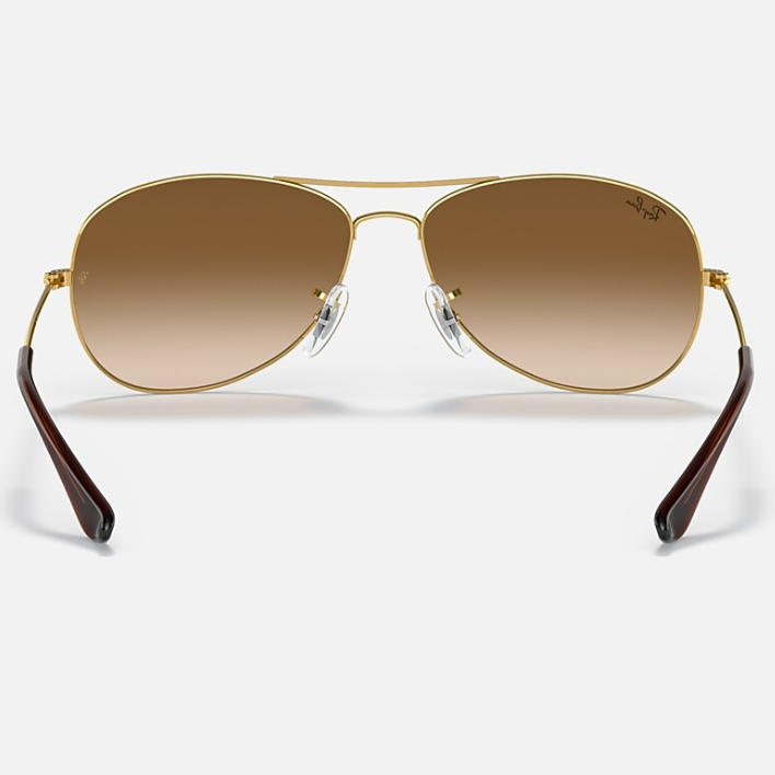 Ray Ban Men Pilot Frame Polished Brown On Gold Sunglasses