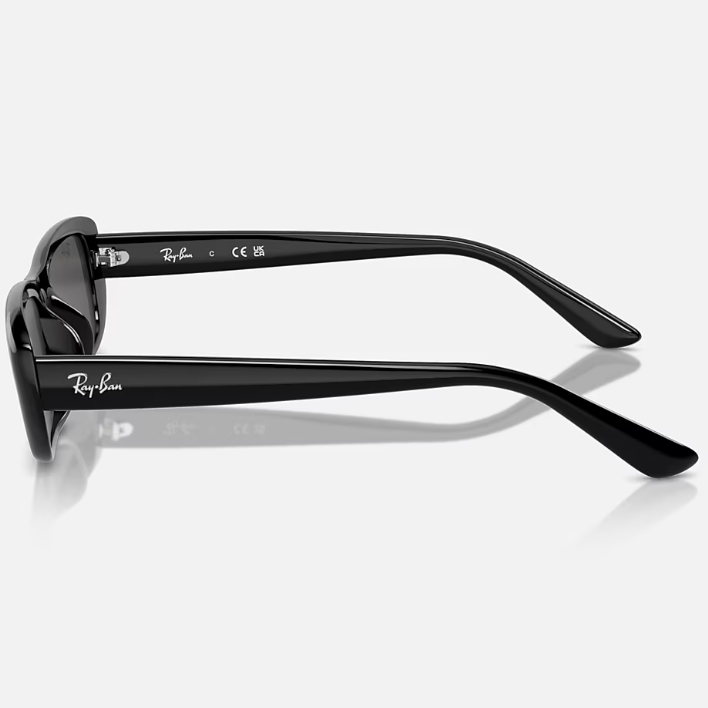 Ray Ban Men Pillow Frame Shiny Polished Black Sunglasses