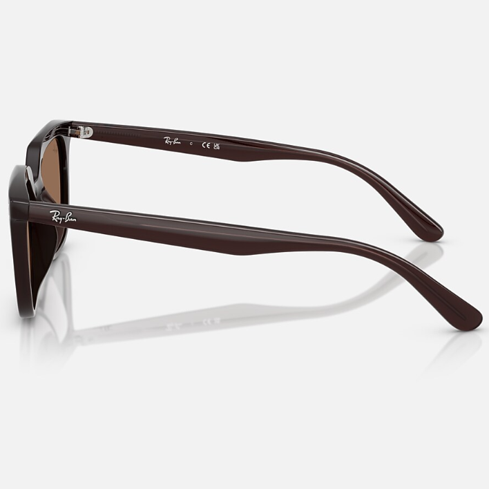 Ray Ban Women Square Frame Polished Opal Brown Sunglasses