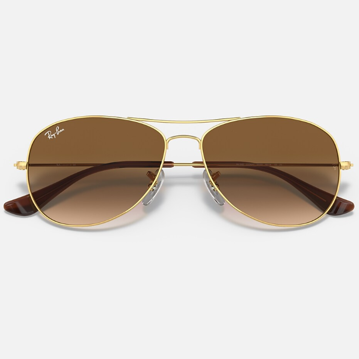 Ray Ban Men Pilot Frame Polished Brown On Gold Sunglasses