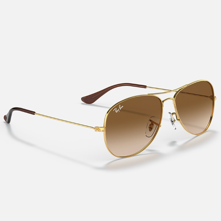 Ray Ban Men Pilot Frame Polished Brown On Gold Sunglasses