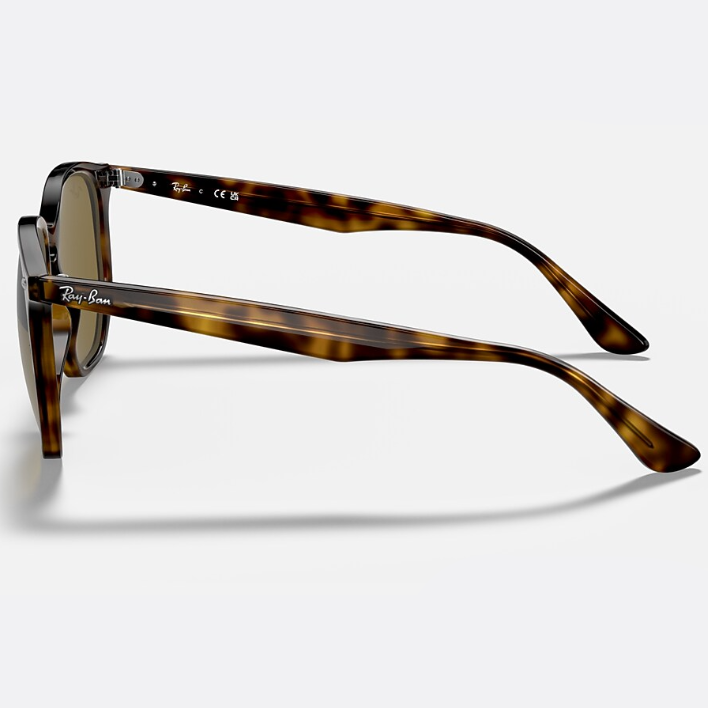 Ray Ban Women Irregular Frame Polished Light Havana Sunglasses