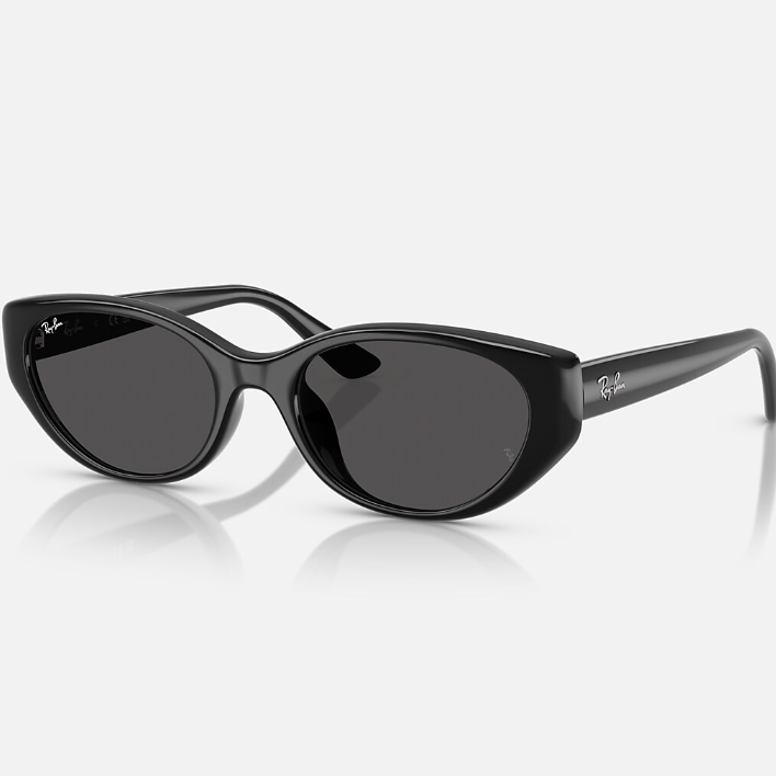 Ray Ban Men Pillow Frame Shiny Polished Black Sunglasses