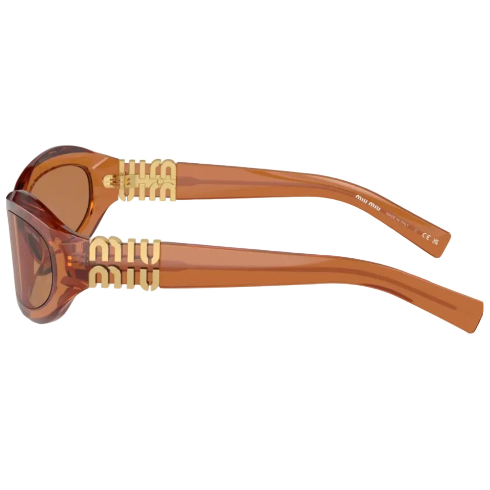 Miu Miu Women Transparent Caramel / Brown Sunglasses